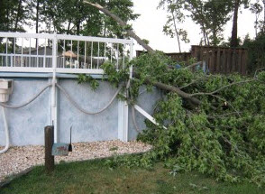 storm damage from tree in Atco NJ