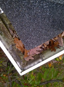 clean roof gutters to prevent storm damage