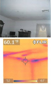 water damaged buildings and mold don't have to go together if infra red cameras are used