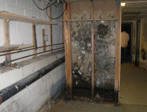 Trevose PA flooded basement water damage created a mold problem