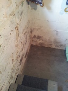 mold inspection in basements sometimes reveals it's not mold - it's efflorescence