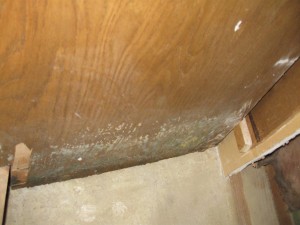 Mold growth after a punctured plumbing pipe in Cherry Hill, NJ