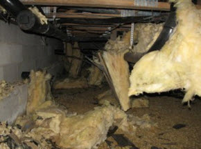mold damage follows water damage in this crawl space in Ocean City, NJ