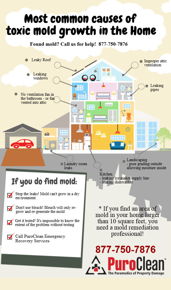 common causes of mold