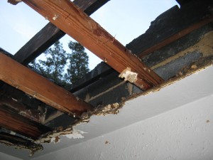 Fire damaged roof