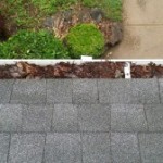 prevent water damage by clearing gutters
