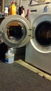 mold growth in washing machines - a growing problem!