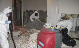 safely remediating mold