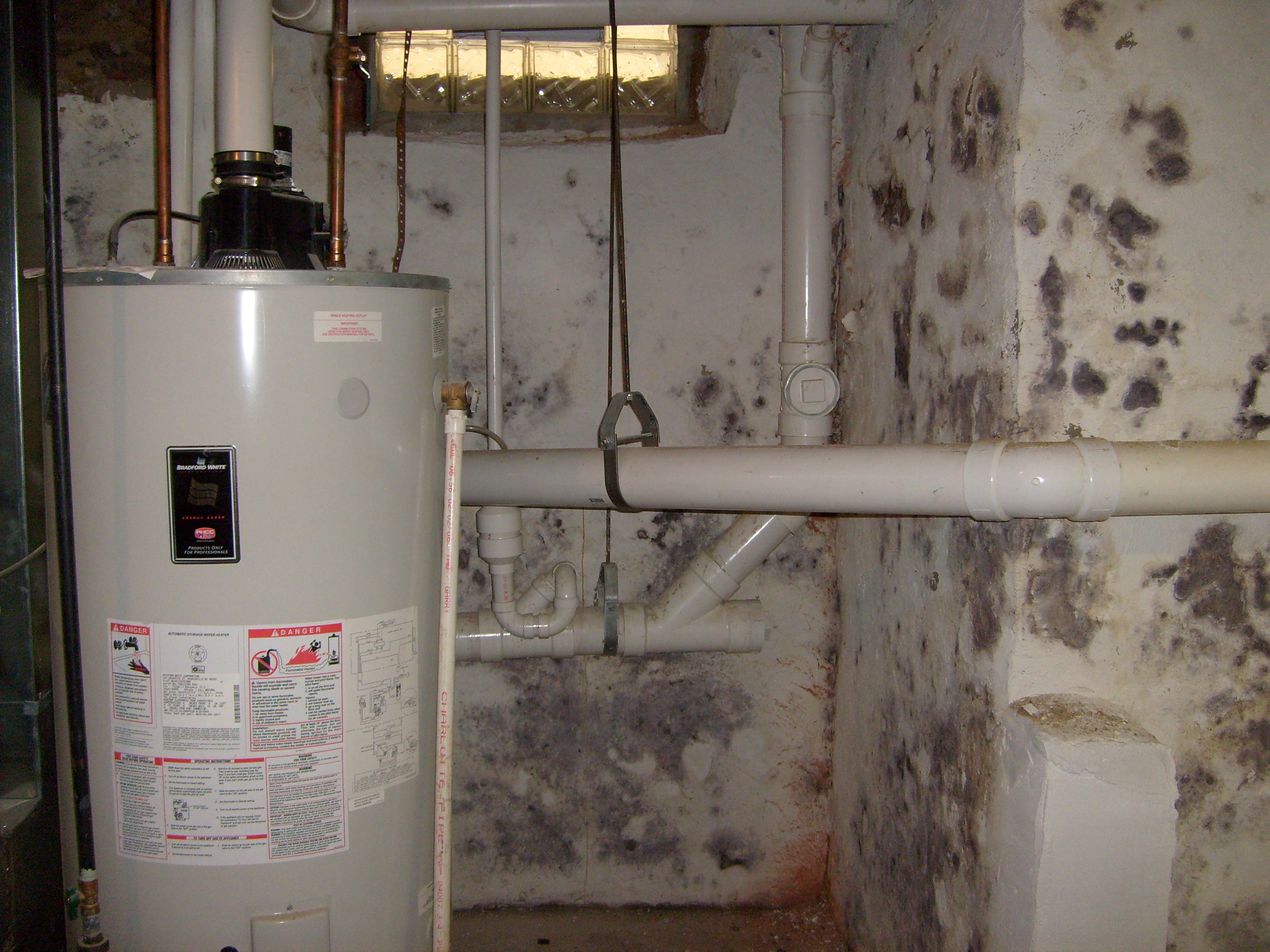 prevent basement mold by drying water damage fast