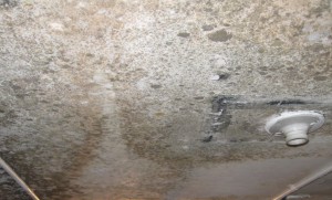 raising mold awareness in schools mold growth 