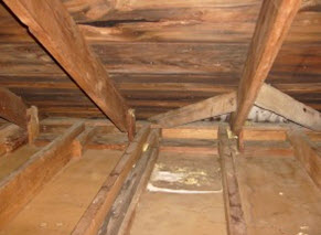 attic mold growth in Cherry Hill, NJ