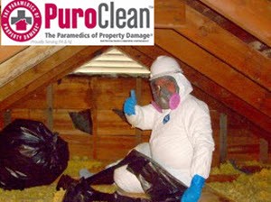 personal protective equipment in mold remediation