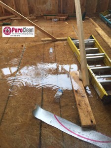 rain soaked building materials and post construction mold growth 