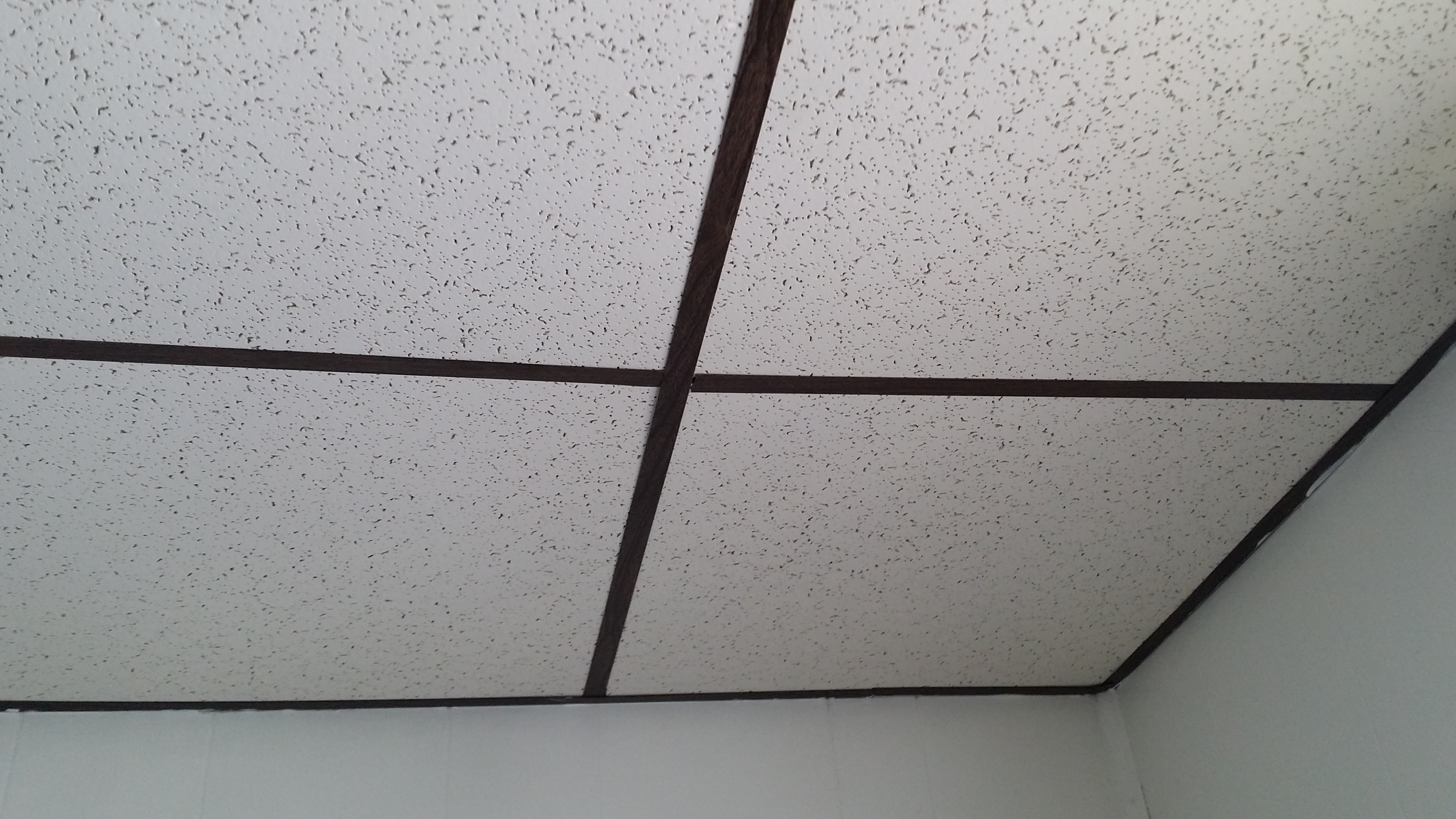 for the mold sensitized individual - drop ceilings may cover old water damage and mold