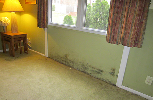too late to prevent mold damage to this Marlton, NJ home