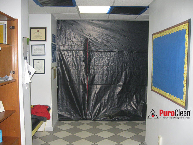commercial mold remediation in a school