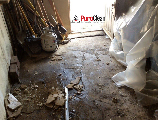 Burlington, NJ garage mold grows with water damage