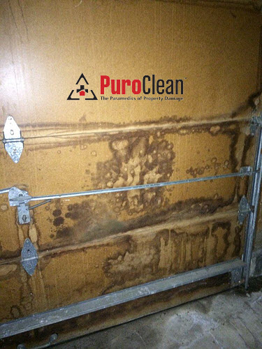 garage mold on door