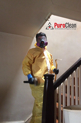 biohazard cleanup personal protective equipment