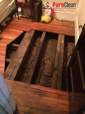 Philadelphia, PA: removing the flooring to contain the biohazard