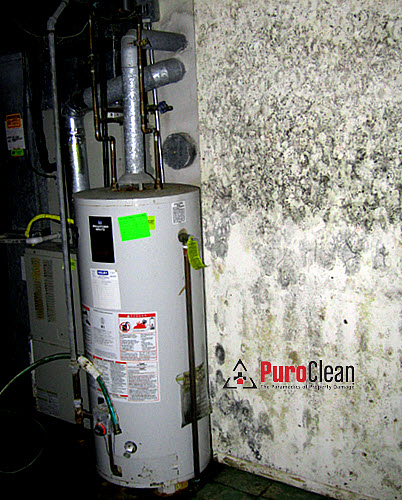 Because new research findings indicate drywall is already contaminated with mold spores, all it needs to bloom is moisture, like it did for these homeowners in Cherry Hill, NJ when their hot water heater burst