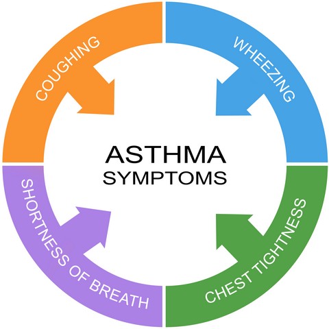 Mold Exposure Is Linked To Asthma!