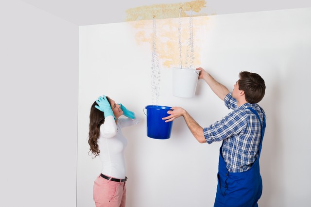 The Key To Preventing Mold Is Moisture Control!