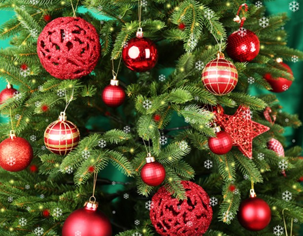 Your Christmas Tree Is Not Only A Fire Hazard, But Can Also Make You Sick From Mold!